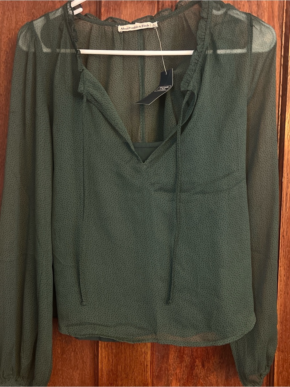 Abercrombie Fitch Green Long Sleeve Top Lightweight Small Sheer Blouse NWT